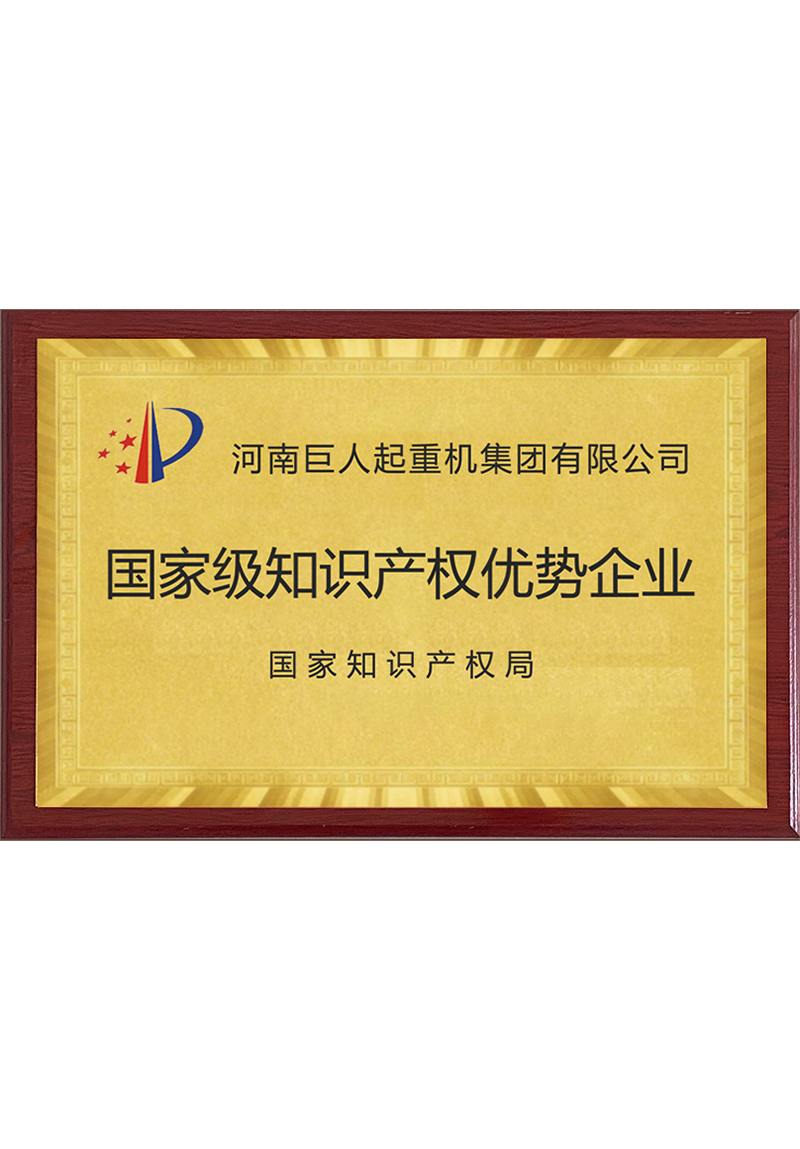 國家級知識產(chǎn)權(quán)優(yōu)勢企業(yè)