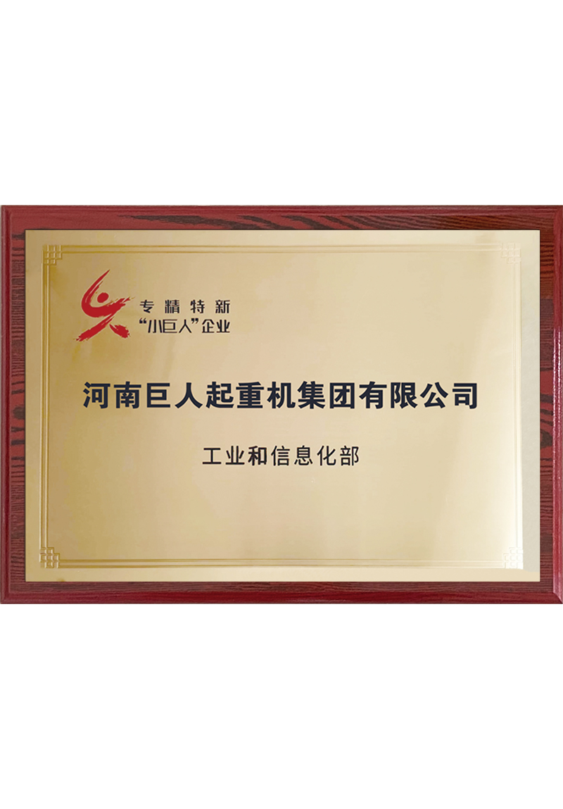 國家級專精特新小巨人企業(yè)